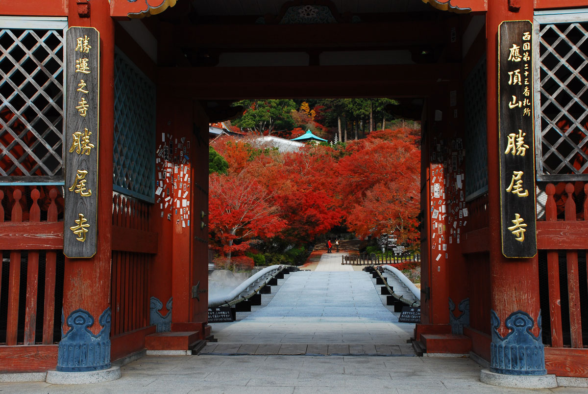 大阪箕面にある勝尾寺（かつおじ）秋はもみじまつりが開かれ燃えるような紅葉が楽しめます。