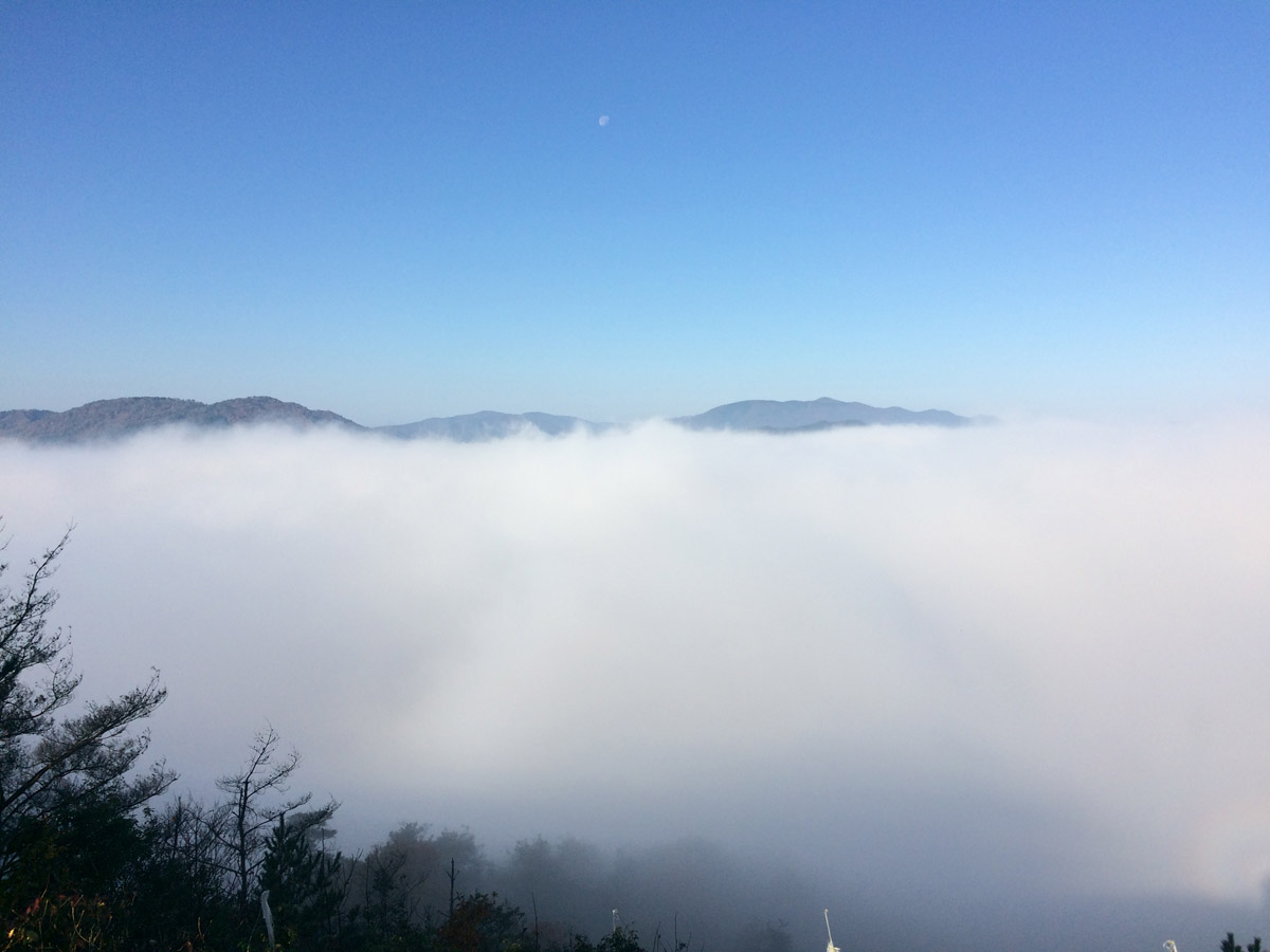 「霧のテラス」から見る雲海の眺望。亀岡盆地がすべてきりに覆われてまるで湖のようになっています。