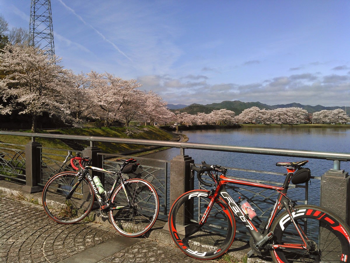 桜のシーズンには平の沢池は数多くの桜に囲まれます。こちらもおすすめ！